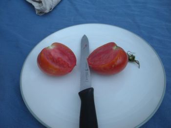 first tomato of the 2013 sesason